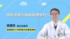 中医按摩治病的原理是什么