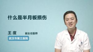 什么是半月板损伤  