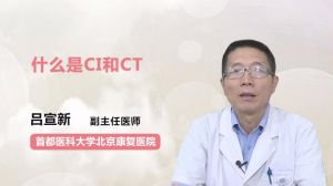 什么是CI和CT