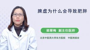 脾虛為什么會導致肥胖