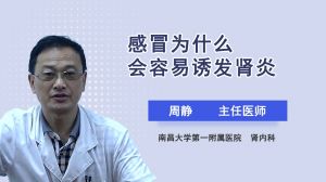 感冒為什么會容易誘發(fā)腎炎