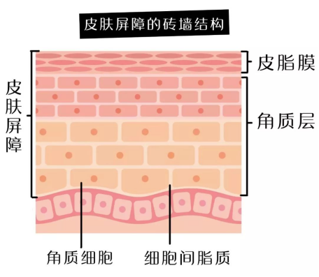 wps917F.tmp.png