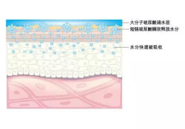 wps2CEF.tmp.png