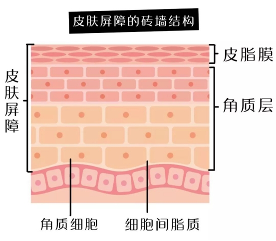 wps35FD.tmp.jpg