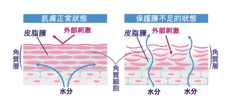 wps2621.tmp.jpg