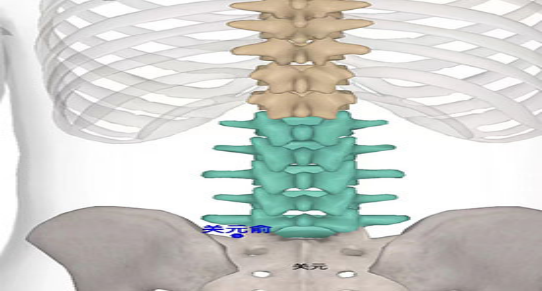 關元穴位置圖